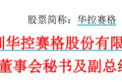 果洛华控赛格董事长、董秘、副总经理三高管同日辞职